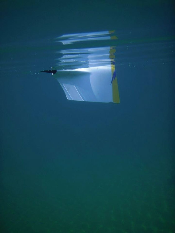 Blade Under Water